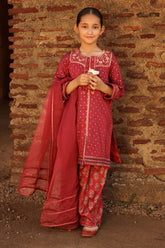 3-PC Kids Embroidered Raw-Silk Suit CKP-5-50