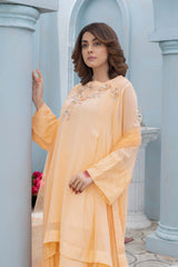 4 PC Long Tail Gown with Inner Dupatta and Qlot Trouser CMA22-41