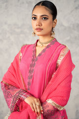 3-PC Embroidered Poly Net Shirt with Net Dupatta and Trouser CMA22-56 (PINK)
