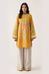 2-PC Stitched Printed Lawn CNP-6-242