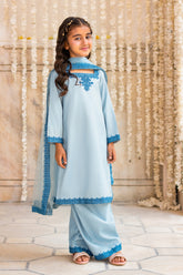 3-PC Embroidered Raw-Silk CKP-6-381
