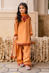 3-PC Embroidered Raw-Silk CKP-6-380