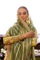 3-PC  Embroidered Lawn Collection Suit CZ5-06