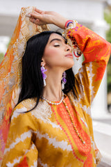 3-PC Stitched Embroidered Lawn Collection  AG6-06 P