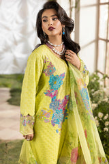 3-PC Stitched Chikankari Lawn Collection CMA-6-122