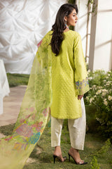 3-PC Stitched Chikankari Lawn Collection CMA-6-122