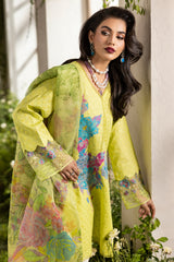 3-PC Stitched Chikankari Lawn Collection CMA-6-122