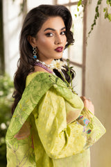 3-PC Stitched Chikankari Lawn Collection CMA-6-122