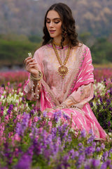 3-PC  Embroidered Lawn Collection Suit CZ5-01 P