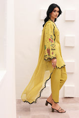 3-PC Stitched Embroidered Lawn Collection CNP-6-271