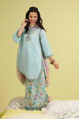 3-PC Chikankari Embroidered Lawn CNP-6-266