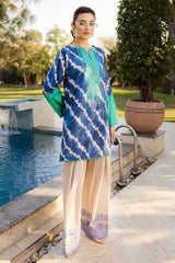 2-PC Embroidered Lawn Suit CNP-5-04