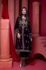 2 Pc Embroidered Velvet Suit VVT21-10