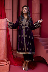 2 Pc Embroidered Velvet Suit VVT21-10