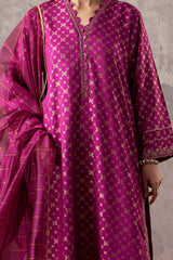2-PC Embroidered Jacquard Shirt with Organza Dupatta CNP-3-204