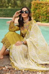 3-PC Unstitched Embroidered Lawn Collection  AN6-01