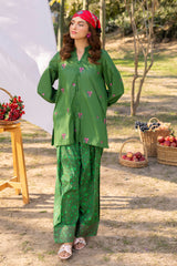 2-PC Embroidered Lawn Suit CNP-5-010