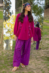 2-PC Embroidered Lawn Suit CNP-5-09