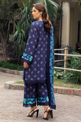 3-PC Embroidered Staple Shirt with Staple Shawl and Trouser DSWCC4-38