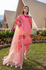 3 Pc Unstitched Embroidered Lawn With Organza Dupatta CSL-10