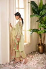 Eid Collection - Dhaani