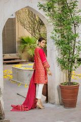 Festive CNP20-42