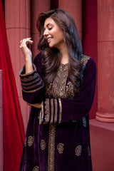 2 Pc Embroidered Velvet Suit VVT21-10