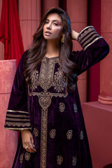 2 Pc Embroidered Velvet Suit VVT21-10