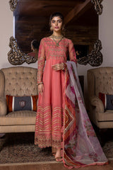 Embroidered Organza Suit