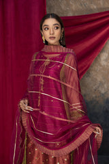 3-Pc Zari Net Shirt With Poly Net Dupatta and Raw Silk Trouser CMA23-10