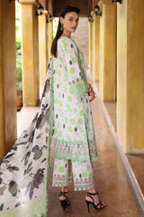 3-PC Unstitched Embroidered Lawn Collection CRB5-10