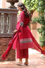 3-PC Unstitched Embroidered Lawn Collection  AN6-10
