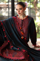 3-PC Unstitched Embroidered Linen Collection ANW6-04
