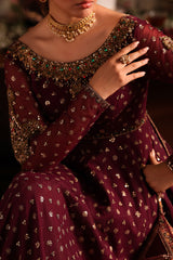 2-PC Embroidered Net Pishwas Suit stm-5-09