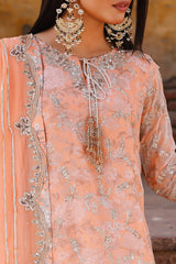 3-pc Unstitched Chiffon Collection VSL25-19