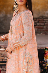 3-pc Unstitched Chiffon Collection VSL25-19