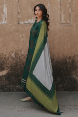 3-pc Unstitched Printed Staple DSCW5-12