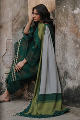 3-pc Unstitched Printed Staple DSCW5-12