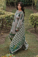 3-pc Unstitched Printed Staple DSCW5-16