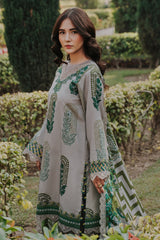 3-pc Unstitched Printed Staple DSCW5-16