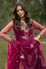 3-PC Stitched Embroidered Ploy Net CMA-6-481