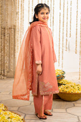 3-PC Embroidered Raw-Silk Suit CKP-6-373