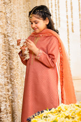 3-PC Embroidered Raw-Silk Suit CKP-6-373