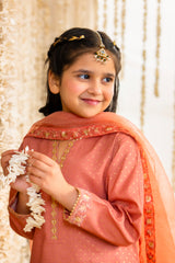 3-PC Embroidered Raw-Silk Suit CKP-6-373