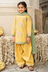 3-PC Embroidered Raw-Silk Suit CKP-6-376