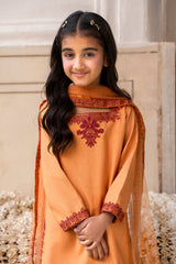 3-PC Embroidered Raw-Silk CKP-6-380