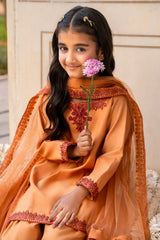 3-PC Embroidered Raw-Silk CKP-6-380