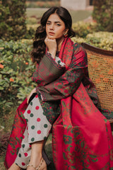 3-pc Unstitched Printed Staple DSCW5-30