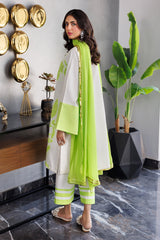 3-PC Embroidered Cotton Shirt with Chiffon Dupatta and Trouser ED-4-035