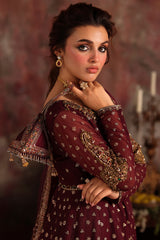 2-PC Embroidered Net Pishwas Suit stm-5-09